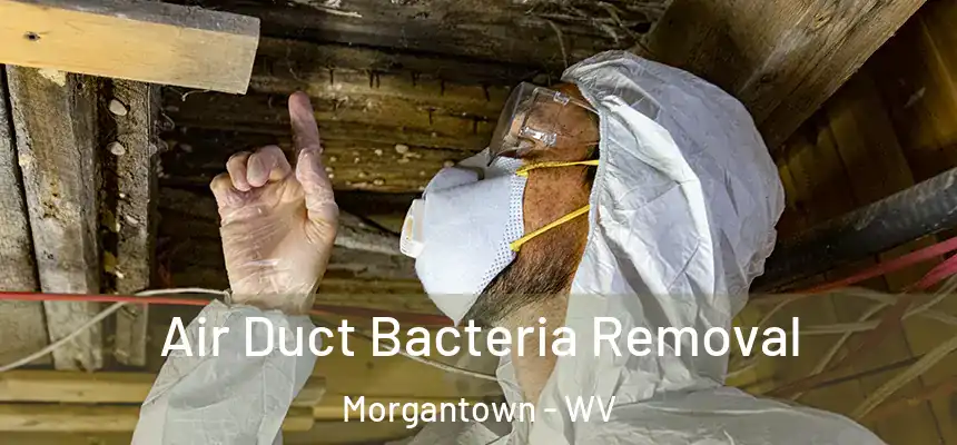  Air Duct Bacteria Removal Morgantown - WV