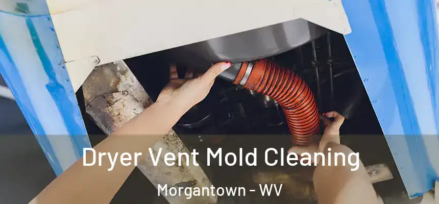  Dryer Vent Mold Cleaning Morgantown - WV
