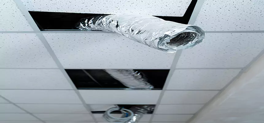 Our Air Duct Pet Hair Removal Services in Morgantown, WV