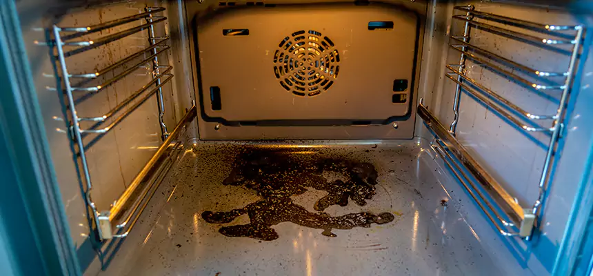 Our Dryer Vent Mold Cleaning Services in Morgantown, WV