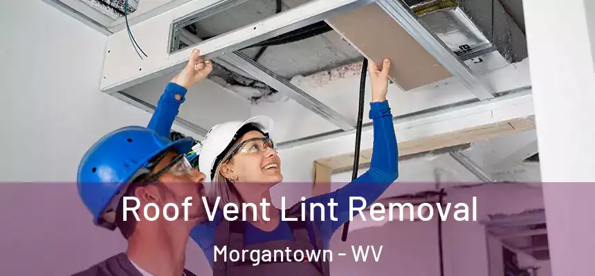 Roof Vent Lint Removal Morgantown - WV