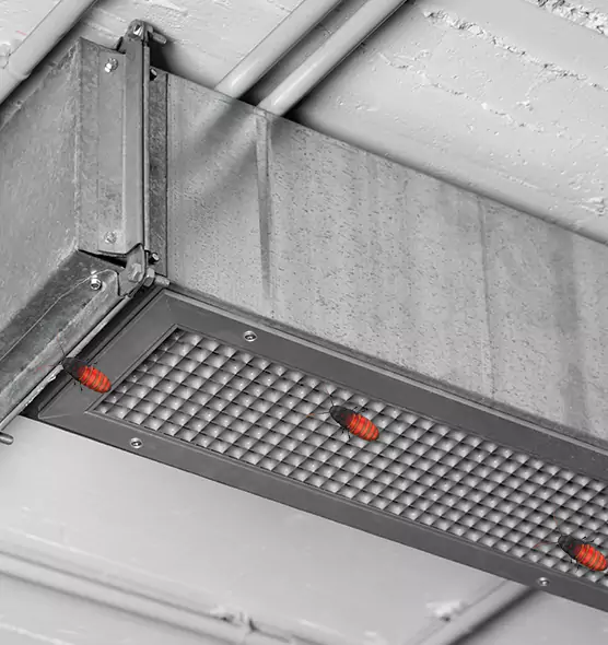 About Air Duct Cockroach Removal in Morgantown, WV
