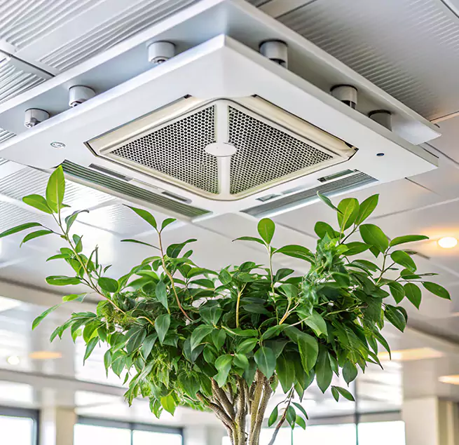 Why Homeowners & Businesses Trust Us in Morgantown, WV?